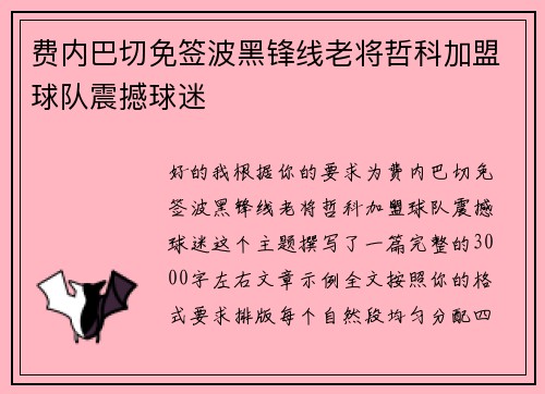 费内巴切免签波黑锋线老将哲科加盟球队震撼球迷