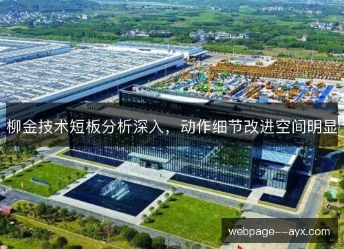 柳金技术短板分析深入，动作细节改进空间明显